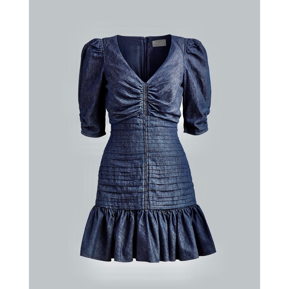 TANYA TAYLOR Pansy Dress Blue Denim Pleated Mini Puffed Sleeves Flirty Size 6 - Picture 11 of 16